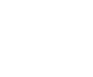 Evolution games at Welt Bet Casino
